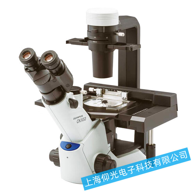 �W�ְ�˹��W(xu��)�@΢�R�o(w��)����(du��)������Ĺ��ϙz��